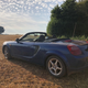 The lowering is a side effect of the shagged suspension.
